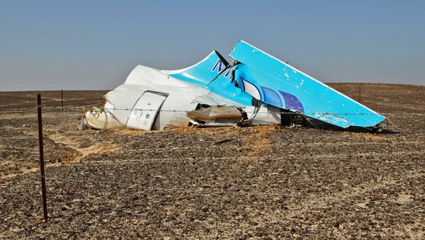 حطام طائرة ايرباص 321 في سيناء - سبوتنيك عربي