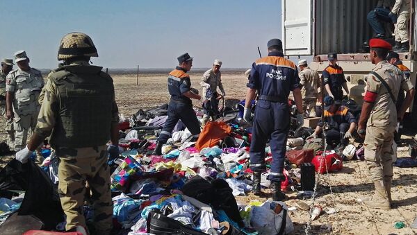 رجال الإنقاذ في مكان تحطم الطائرة التي كانت تقل السائحين الروس العائدين من مصر - سبوتنيك عربي