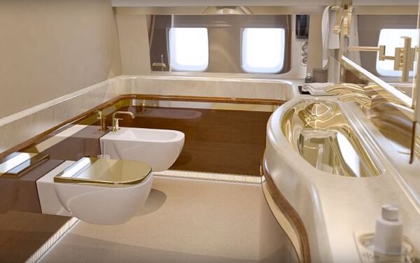 المرحاض داخل طائرة الرئيس بوتين - سبوتنيك عربي