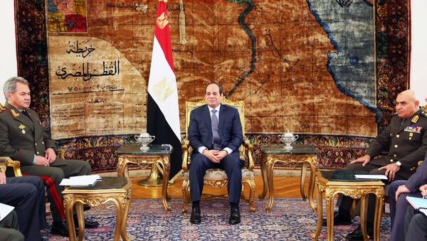 وزير الدفاع الروسي يلتقي الرئيس المصري - سبوتنيك عربي