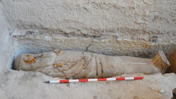الاكتشاف فى مقبرة توت عنخ آمون - سبوتنيك عربي
