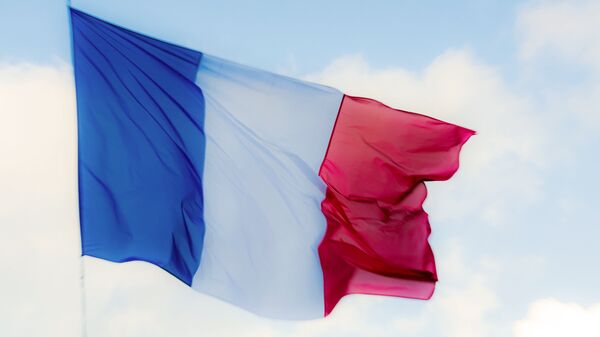 علم فرنسا - سبوتنيك عربي