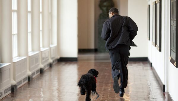 باراك أوباما وكلبه بو - سبوتنيك عربي