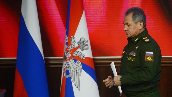 وزير الدفاع الروسي سيرغي شويغو - سبوتنيك عربي