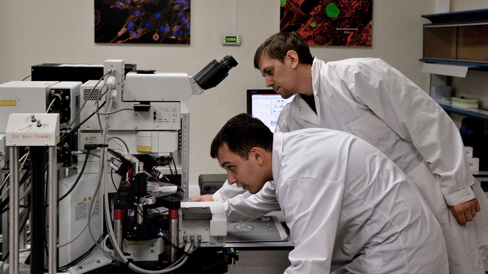علماء روس يطورون زرعات للأنسجة العظمية رخيصة وذات كفاءة عالية