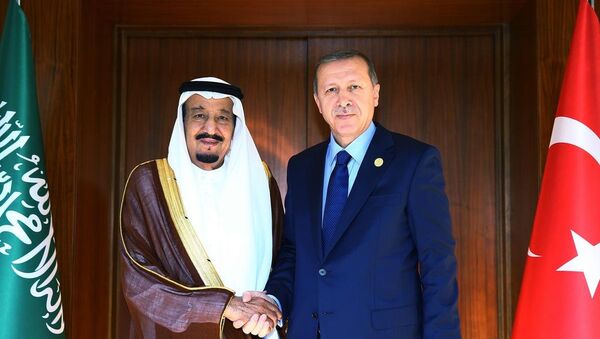 اردوغان والملك سلمان - سبوتنيك عربي