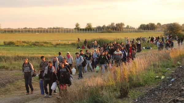 لاجئون على الحدود الصربية المجرية - سبوتنيك عربي
