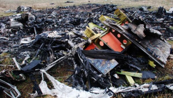 حطام طائرة البوينغ الماليزية في شرق أوكرانيا - سبوتنيك عربي