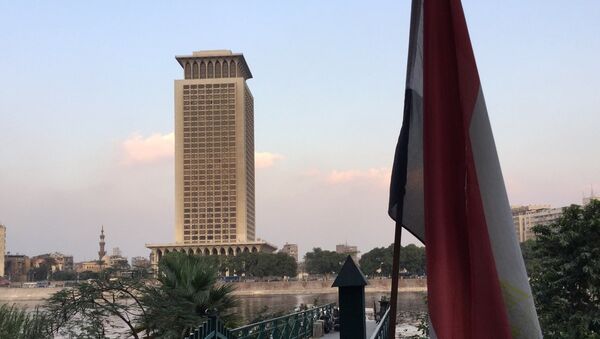 القاهرة ـ وزارة الخارجية - سبوتنيك عربي