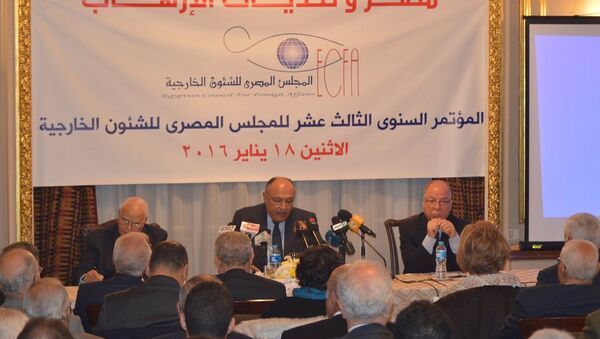 مصر وتحديات ألإرهاب - سبوتنيك عربي