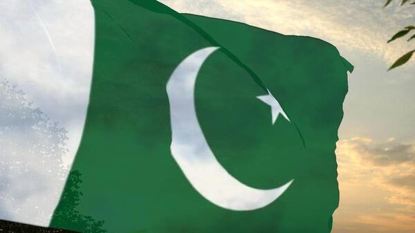 علم باكستان - سبوتنيك عربي