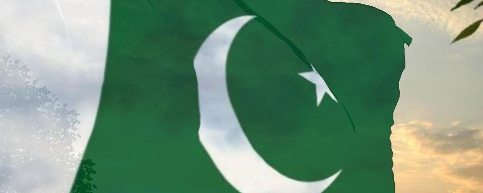 علم باكستان - سبوتنيك عربي, 1920, 05.01.2022