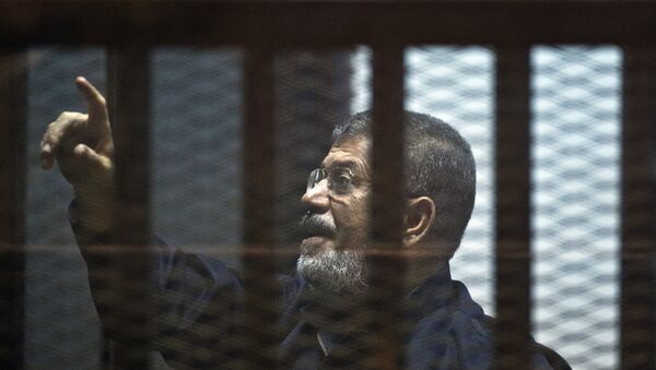 محمد مرسي - سبوتنيك عربي