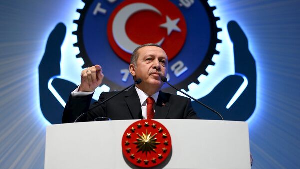 الرئيس التركي أردوغان - سبوتنيك عربي