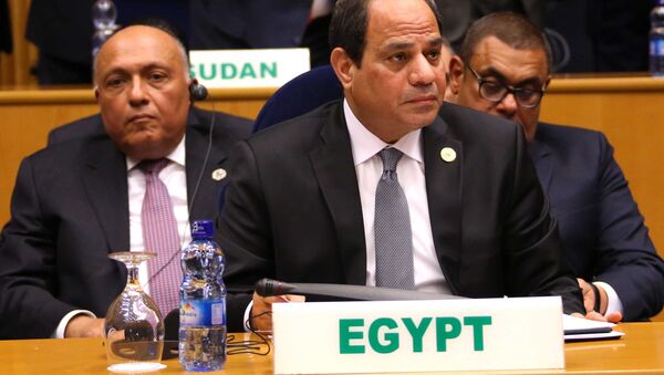 السيسي خلال المشاركة في اجتماع مجلس السلم والأمن التابع للاتحاد الإفريقي - سبوتنيك عربي