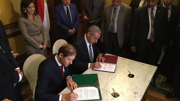 التوقيع على اانشاء المنطقة الصناعية الروسية في مصر - سبوتنيك عربي