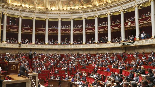 البرلمان الفرنسي - سبوتنيك عربي