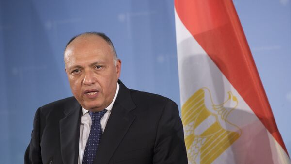 وزير الخارجية المصري، سامح شكري - سبوتنيك عربي