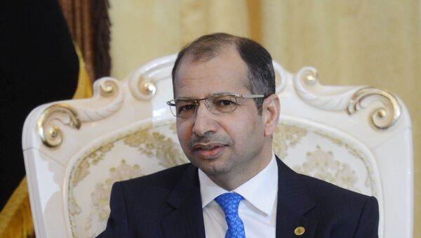 رئيس البرلمان العراقي سليم الجبوري - سبوتنيك عربي