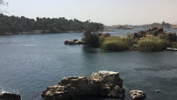 نهر النيل بمدينة أسوان - سبوتنيك عربي