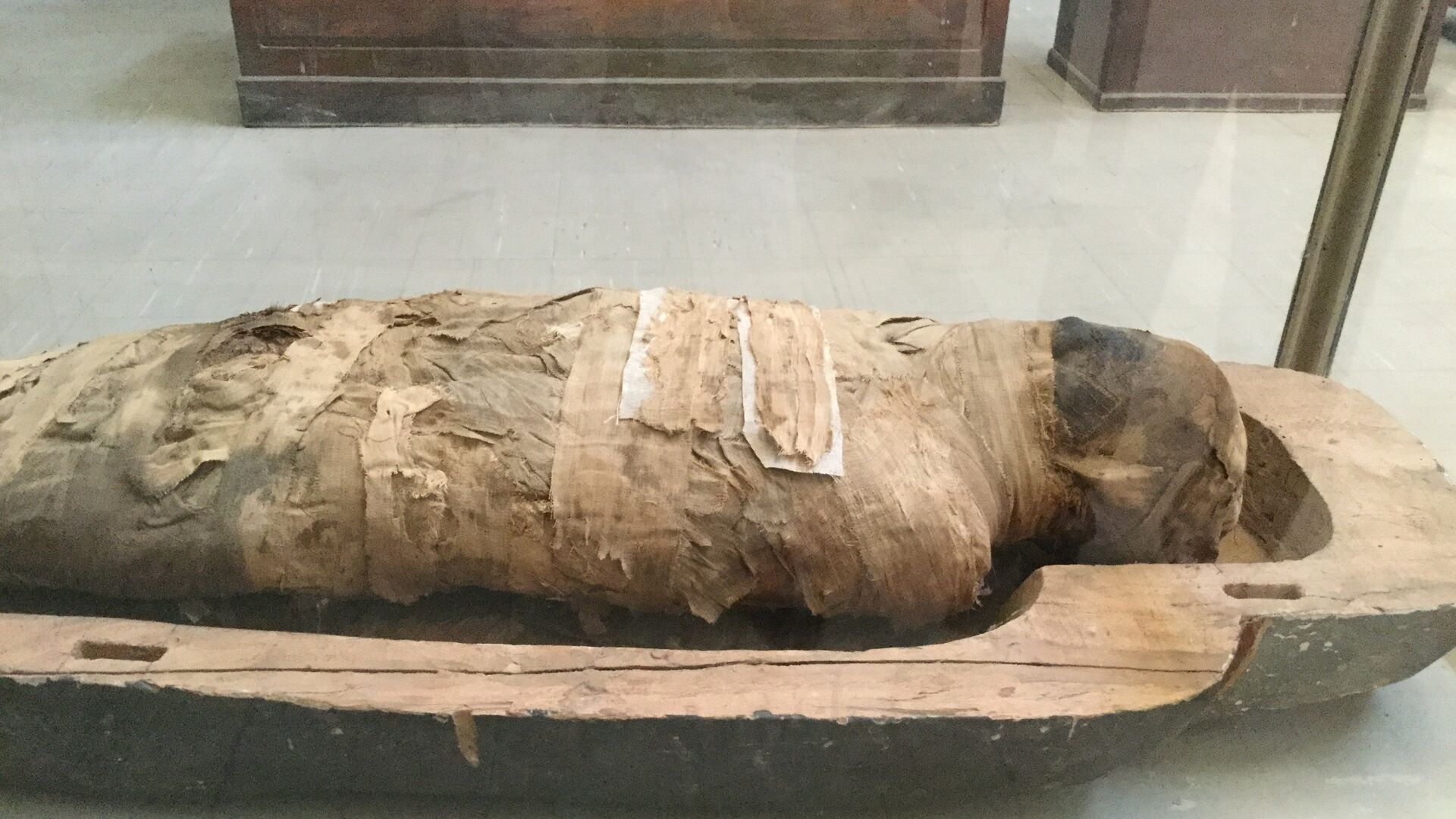 مومياء بالمتحف المصري بالقاهرة  - سبوتنيك عربي, 1920, 24.01.2023