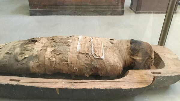 مومياء بالمتحف المصري بالقاهرة  - سبوتنيك عربي