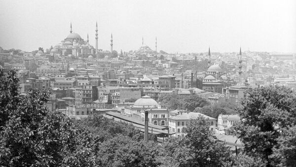 استانبول - سبوتنيك عربي