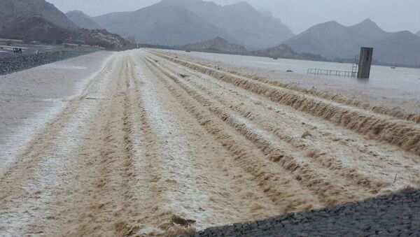 الطقس السئ في الإمارات - سبوتنيك عربي