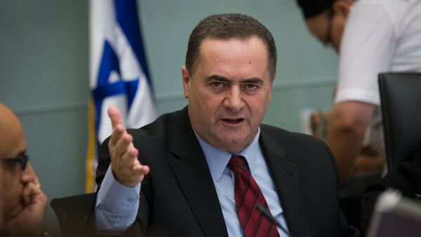 وزير المواصلات وشئون الاستخبارات الإسرائيلي يسرائيل كاتس - سبوتنيك عربي