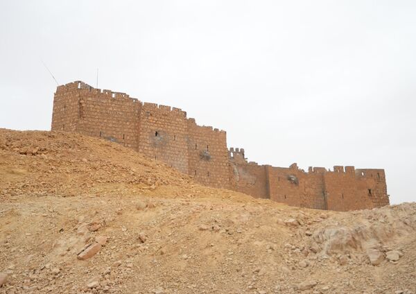 تحرير قلعة تدمر - سبوتنيك عربي