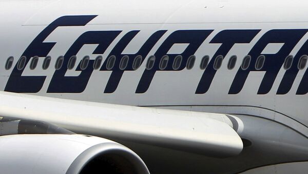 An EgyptAir plane is seen on the runway at Cairo Airport, Egypt in this September 5, 2013 file photo - سبوتنيك عربي