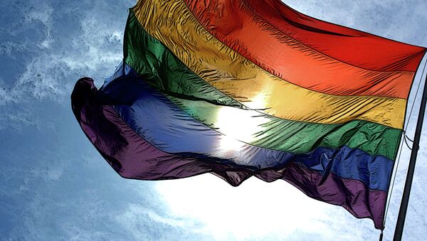 Gay pride flag - سبوتنيك عربي