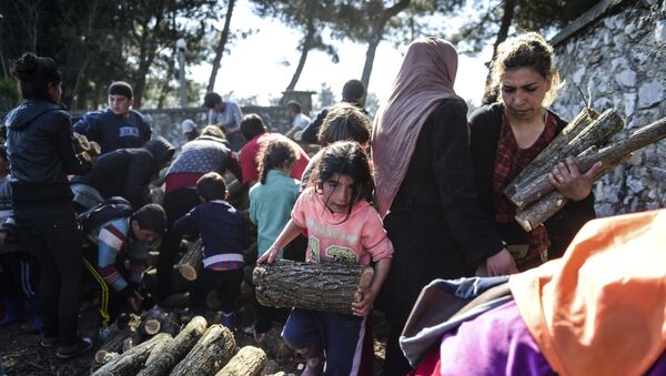 اللاجئون يجمعون الحطب لإشعال النار في القرية اليونانية إيدوميني، اليونان 31 مارس/ آذار 2016. - سبوتنيك عربي