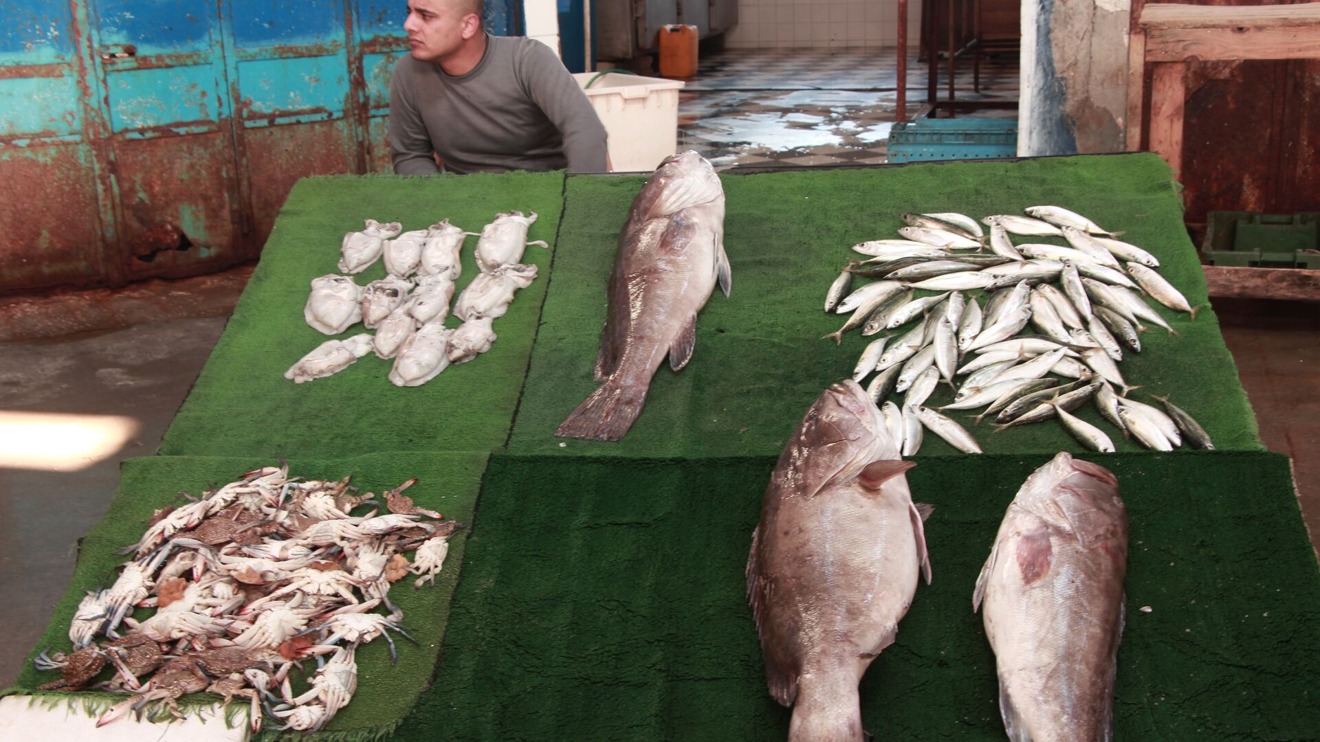 سوق السمك بغزة - سبوتنيك عربي, 1920, 05.08.2022