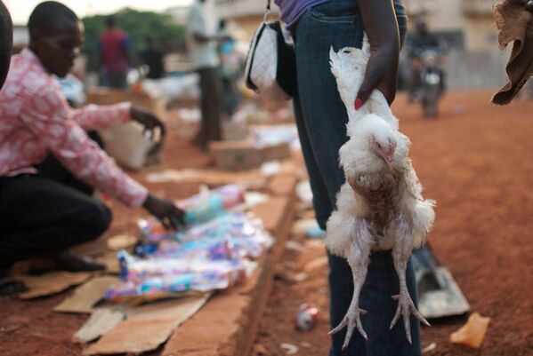 امرأة تحمل دجاجة لطبخها في عيد الكريسماس في سوق وسط مدسنة بانغوي بجمهورية أفريقيا الوسطى. - سبوتنيك عربي