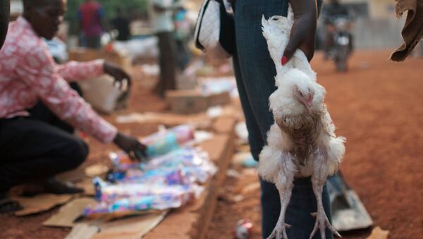 امرأة تحمل دجاجة لطبخها في عيد الكريسماس في سوق وسط مدسنة بانغةي بجمهورية أفريقيا الوسطى. - سبوتنيك عربي
