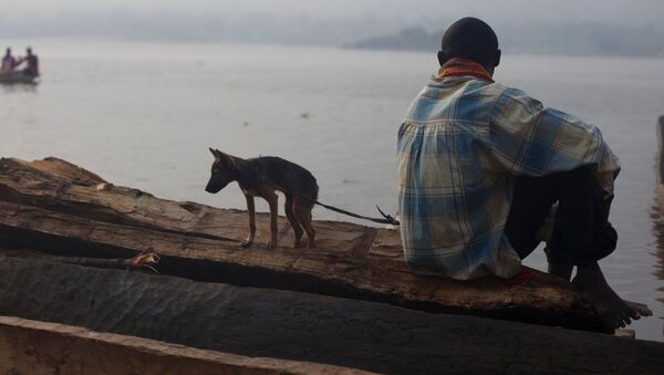 صياد يجلس في قاربه في مدينة بانغوي، جمهورية أفريقيا الوسطى. - سبوتنيك عربي