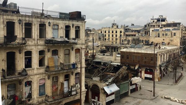 حلب - سبوتنيك عربي