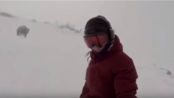 متزلجة على الثلج بالكاد تنجو من دب يطاردها - سبوتنيك عربي
