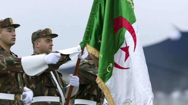 الجيش الجزائري - سبوتنيك عربي
