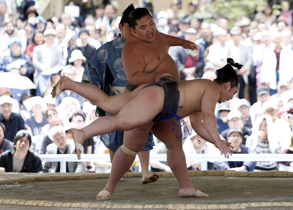 مهرجان خونوزيومو لمصارعة السومو في اليابان، 11 أبريل/ نيسان 2016. - سبوتنيك عربي