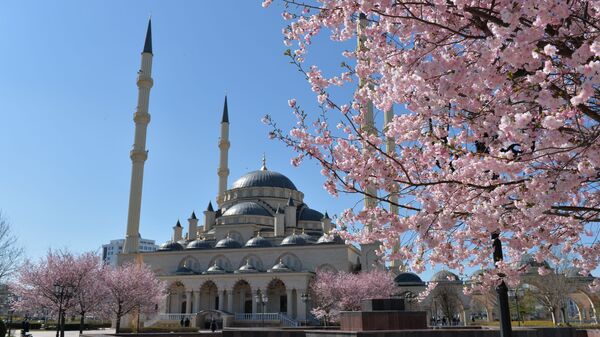 مسجد قلب الشيشان - سبوتنيك عربي
