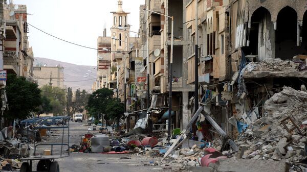 سوريا والوضع في تدمر - سبوتنيك عربي