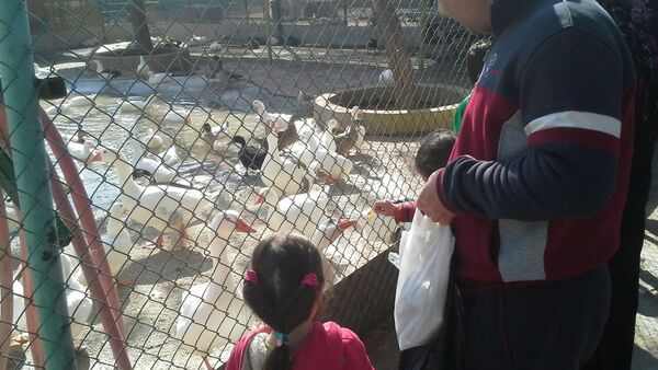 الأطفال في حديقة حيوان دمشق - سبوتنيك عربي
