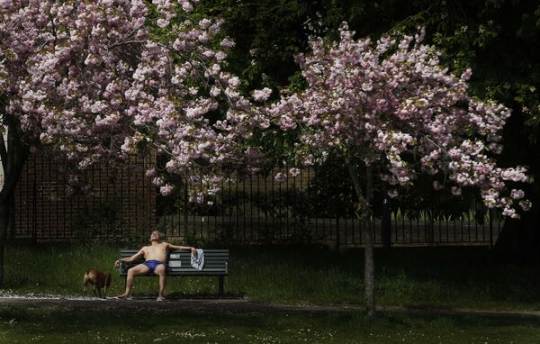 رجل يستجم تحت أشعة الشمس في لندن، 6 مايو/ آيار 2016. - سبوتنيك عربي