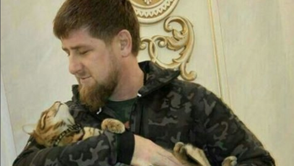 أعلن رئيس جمهورية الشيشان رمضان قاديروف عن فقدانه لقطته - سبوتنيك عربي