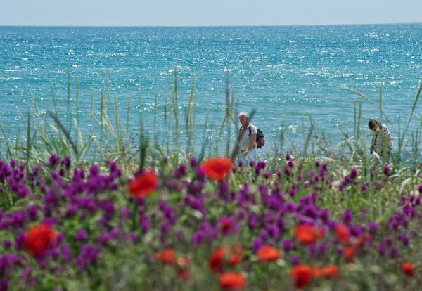 شاطئ البحر الأسود بمقاطعة فيودوسيا. - سبوتنيك عربي