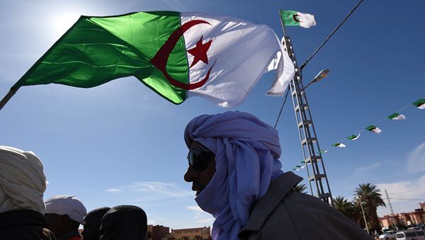 الجزائر - سبوتنيك عربي