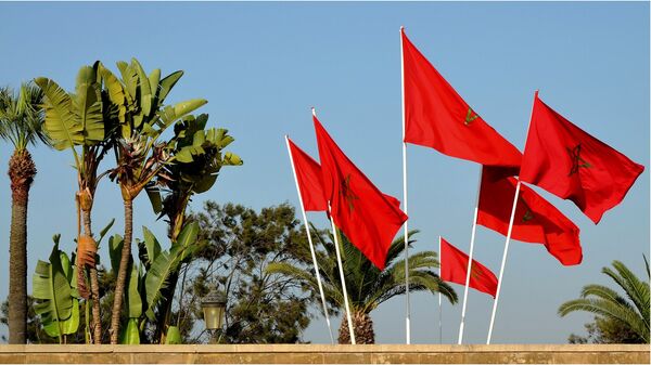 المغرب - سبوتنيك عربي