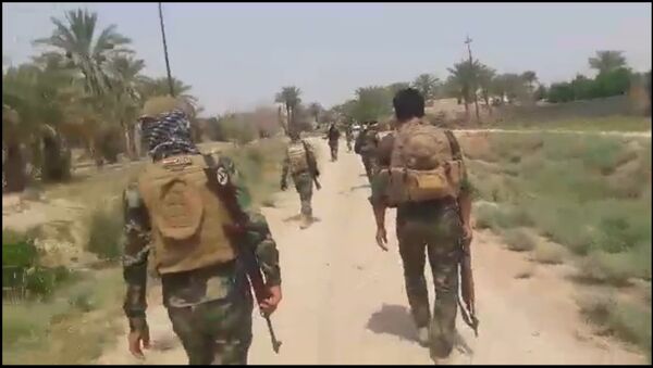 القوات العراقية تهزم داعش في جنوب الفلوجة - سبوتنيك عربي